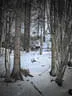 Winterparcour Bild 10