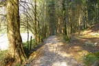 Sommerparcours 2017 Bild 36
