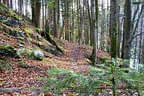 Herbst-/Winterparcours 2017/18 Bild 28