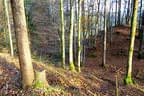 Herbst-/Winterparcours 2017/18 Bild 37