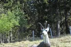 Vereinsausflug Mabow Saalfelden Bild 56