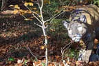 Herbst-Winter2019/20 Bild 7