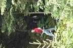 5erl Alte Mittel Bild 24