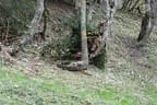 Turnierbesuch Iseltal Bild 3