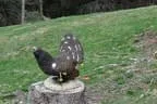 Turnierbesuch Iseltal Bild 7