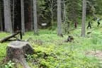 Turnierbesuch Lienz Bild 5